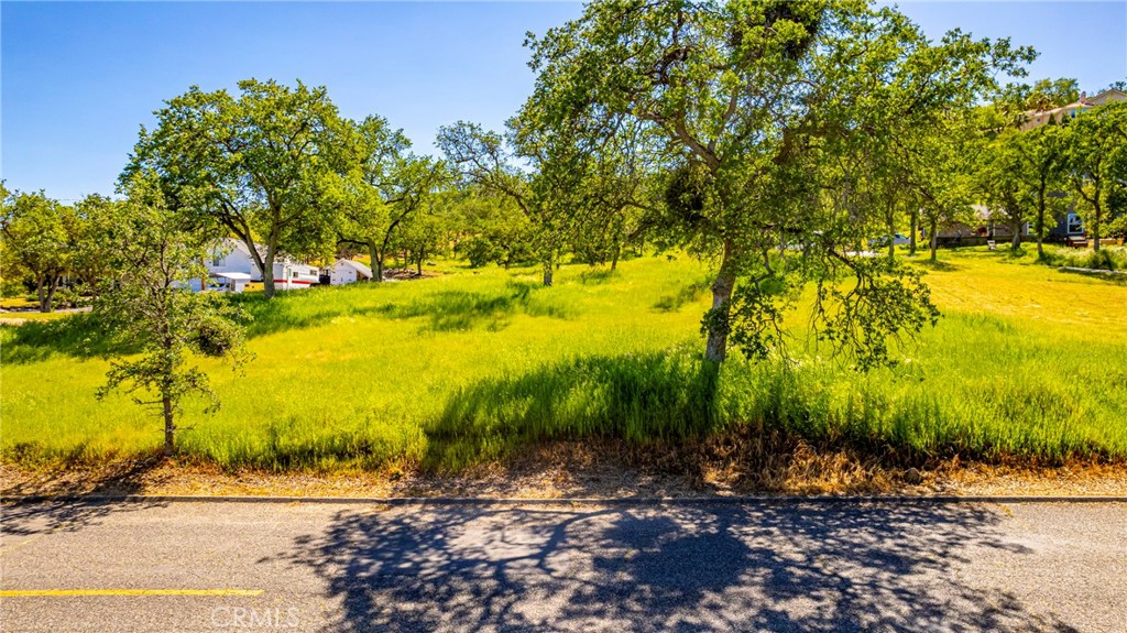 a view of a yard with a tree