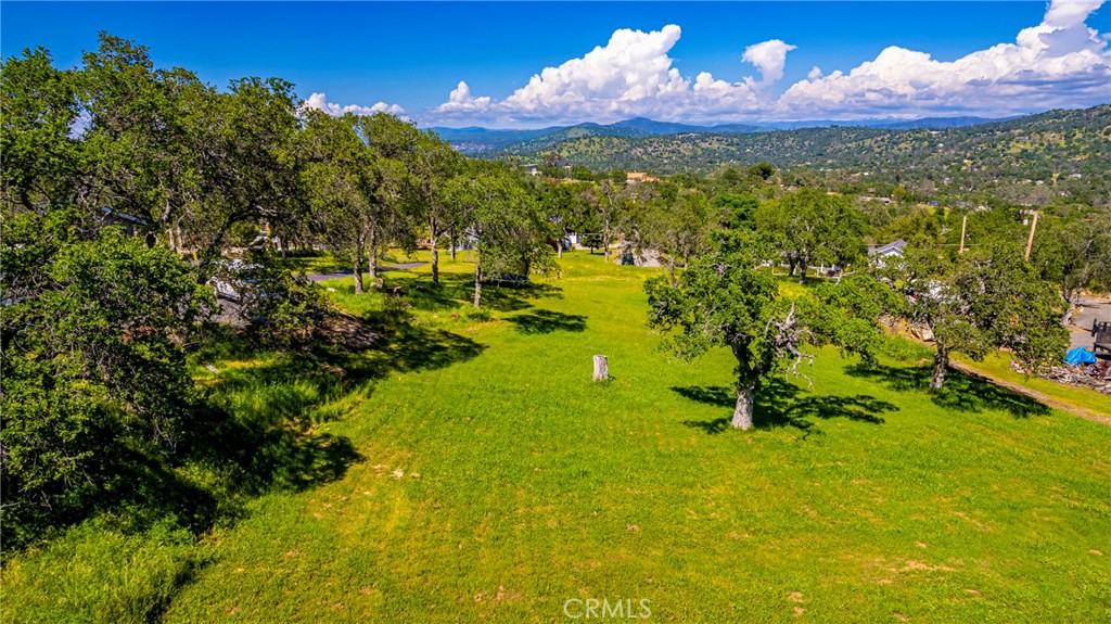 a view of an outdoor space and a yard