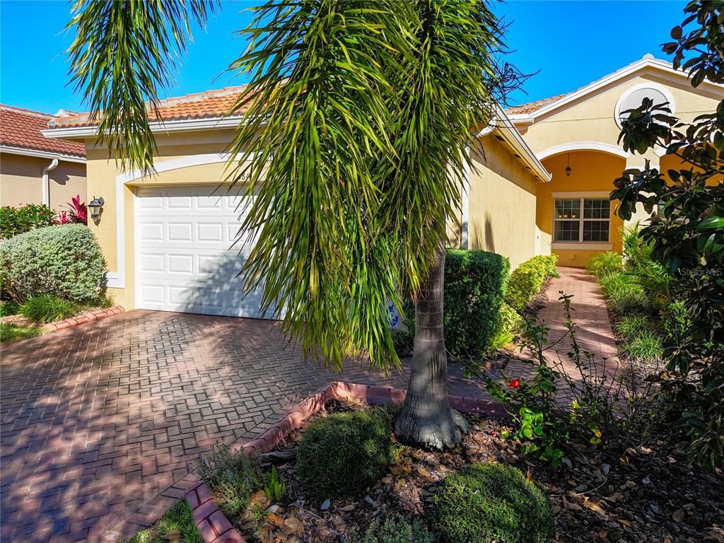 a view of a backyard with plants and a palm tree