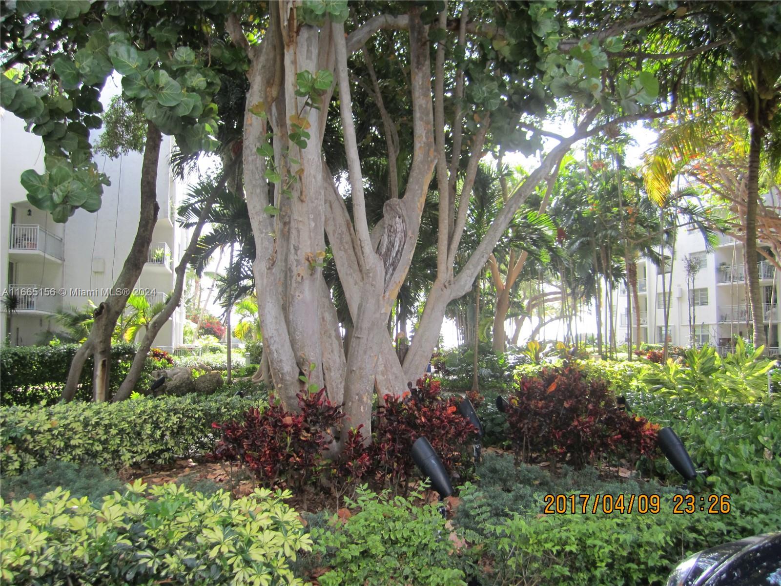 a view of statue in the garden