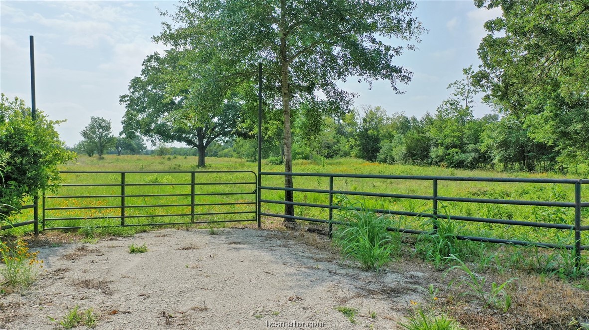 a view of a yard with wooden fence