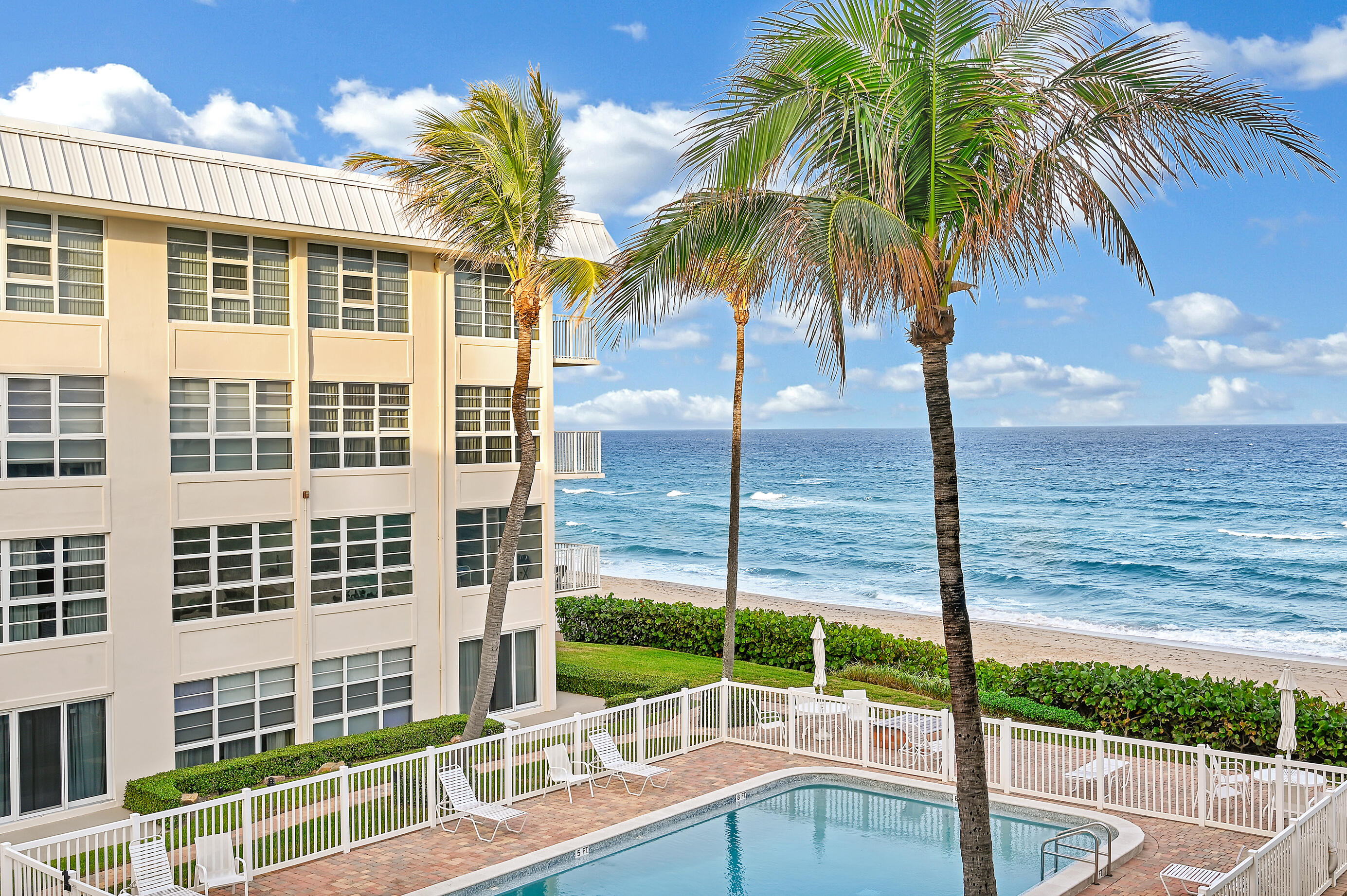 a view of a balcony with a palm tree