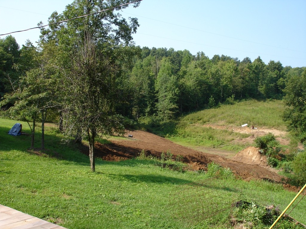 a view of a yard with a tree