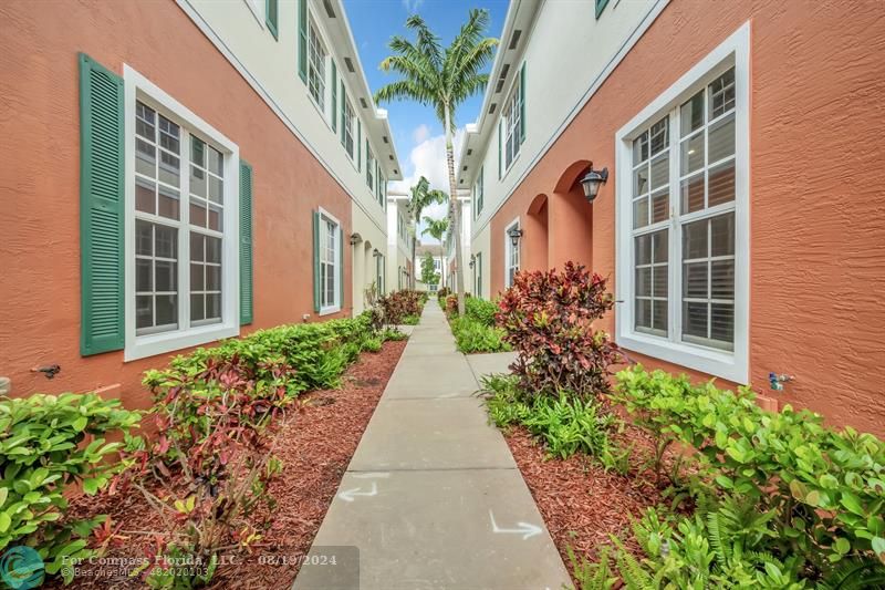 a view of a pathway both side of house