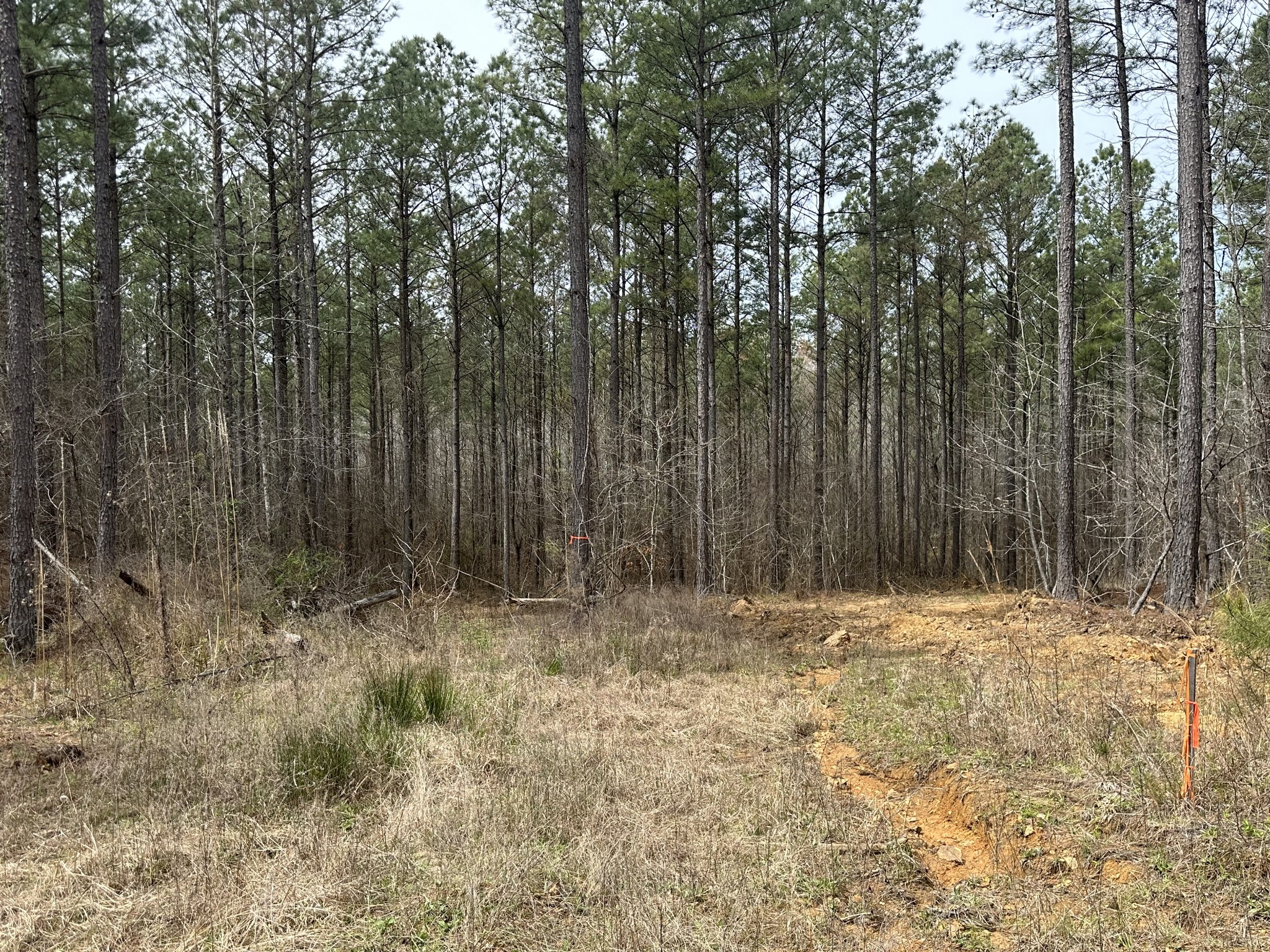 a view of outdoor space and covered with trees