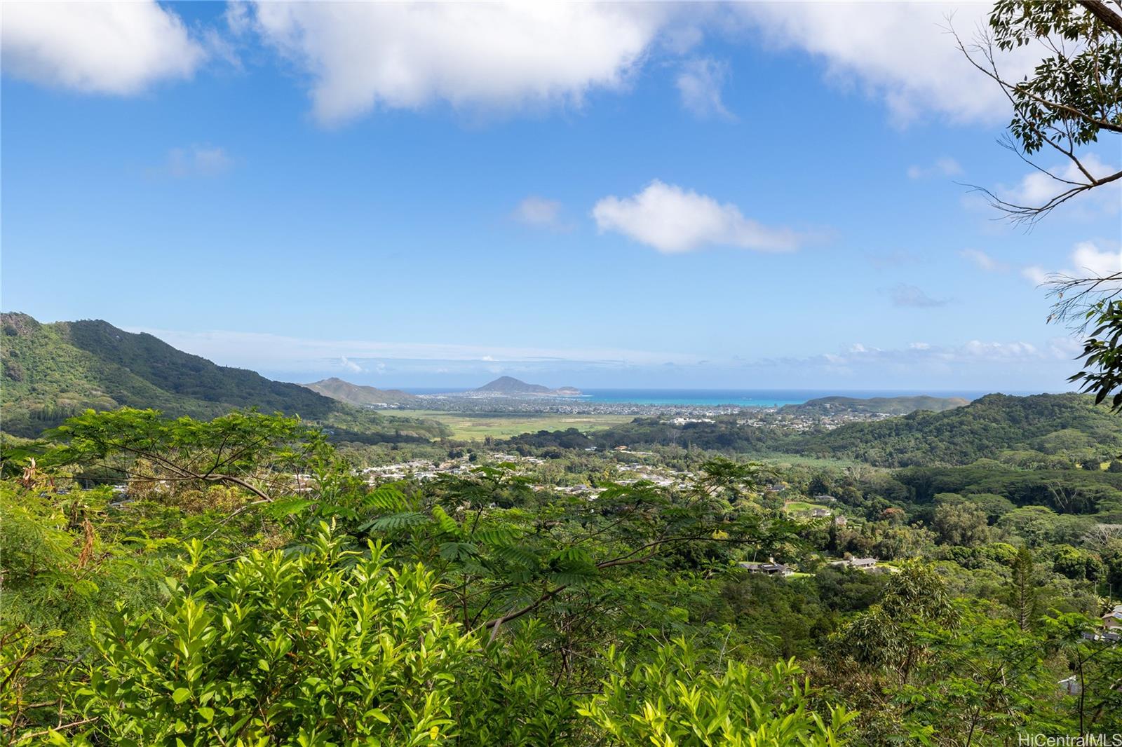 a view of a city with lush green forest