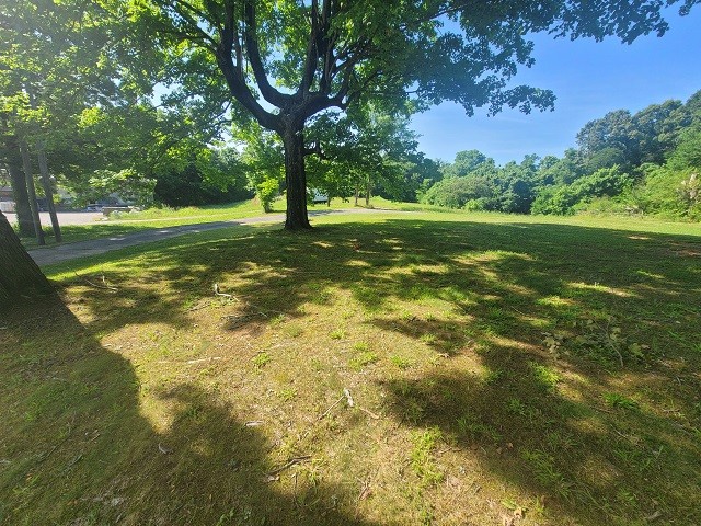 a view of a trees with a yard