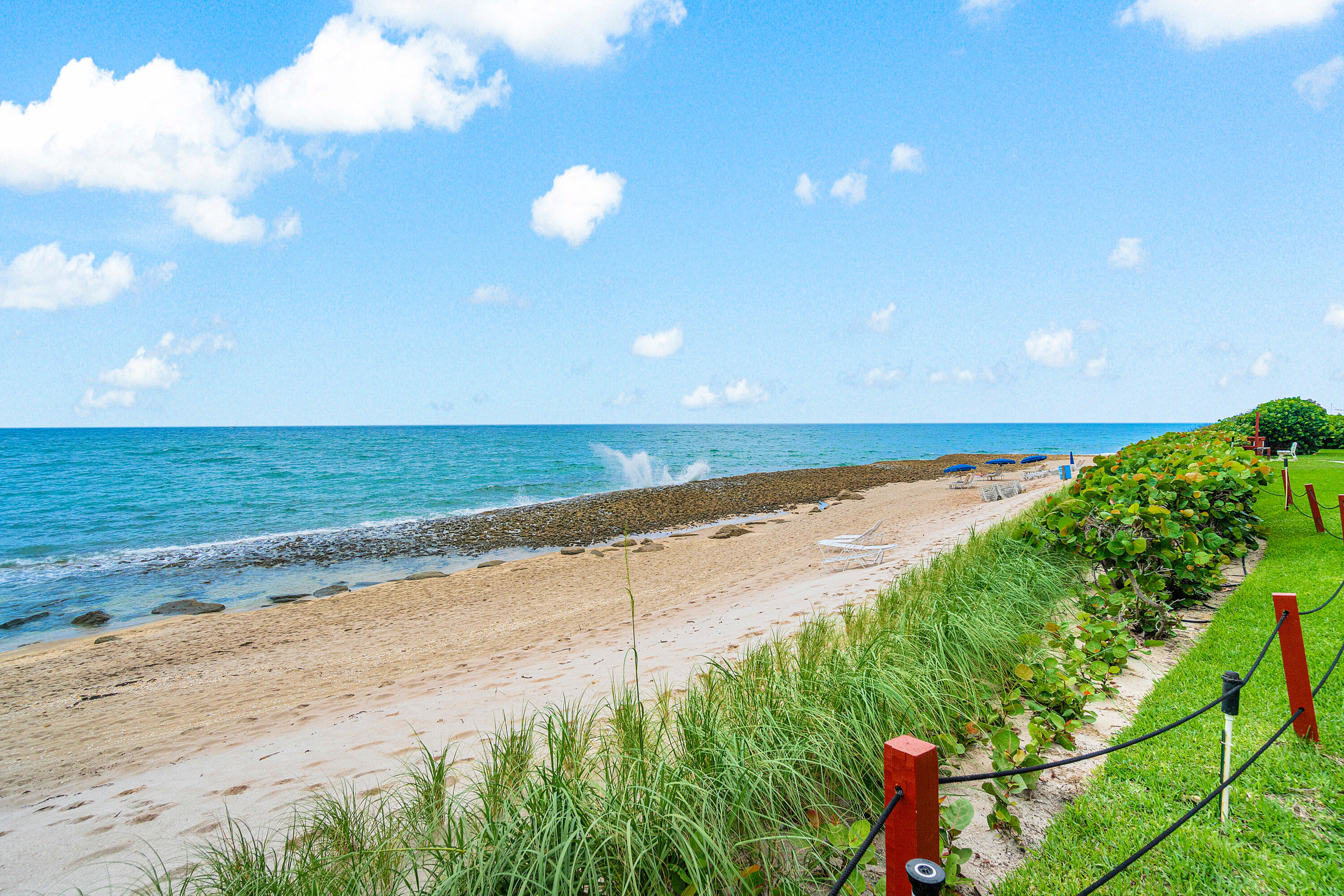 a view of an ocean beach