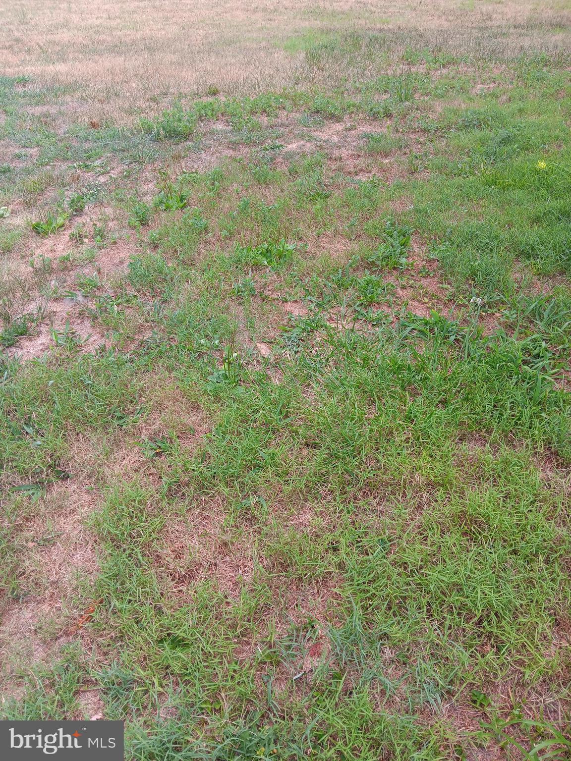 a view of a yard with an outdoor space