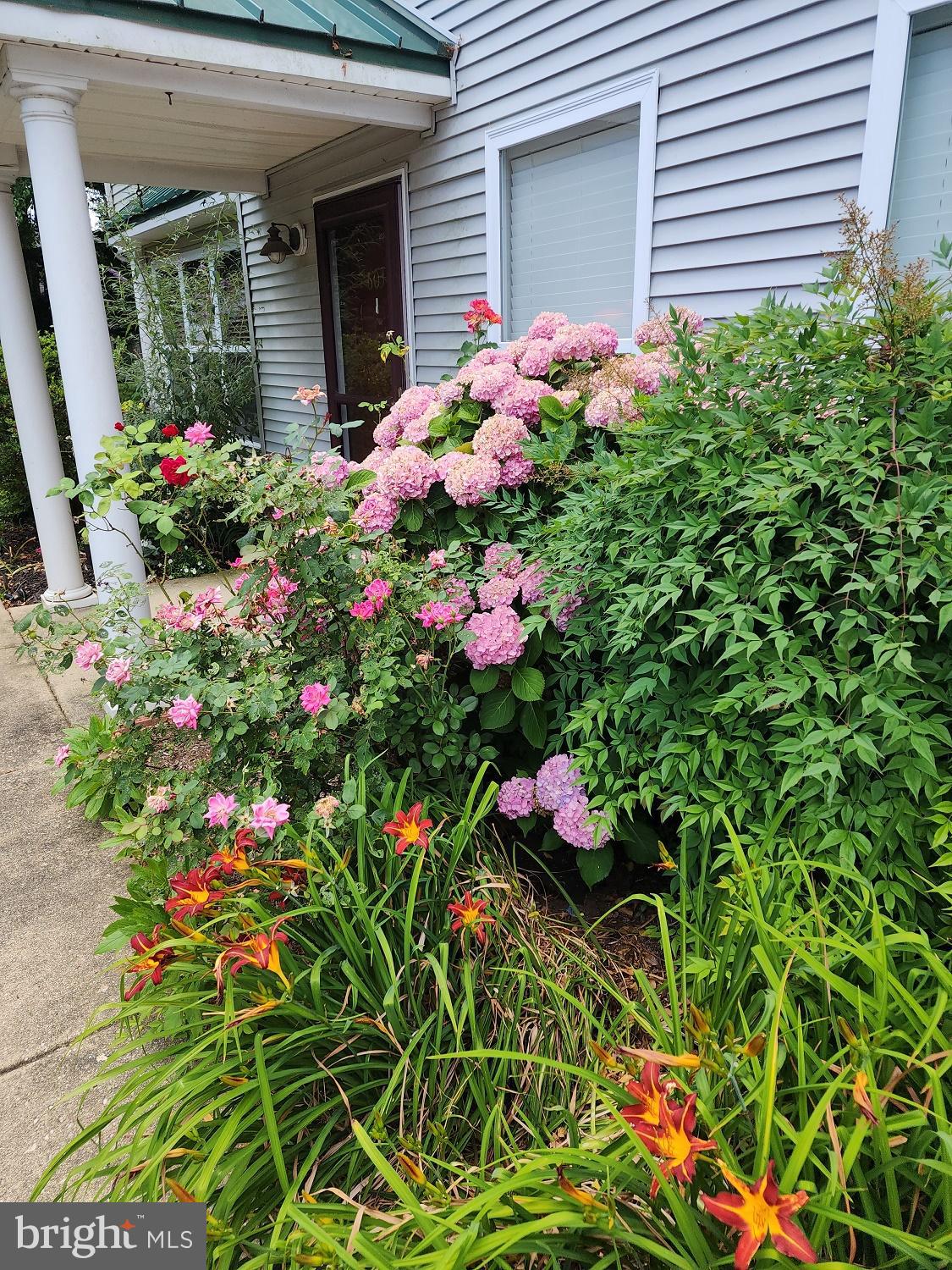 a flower plants in front of a house