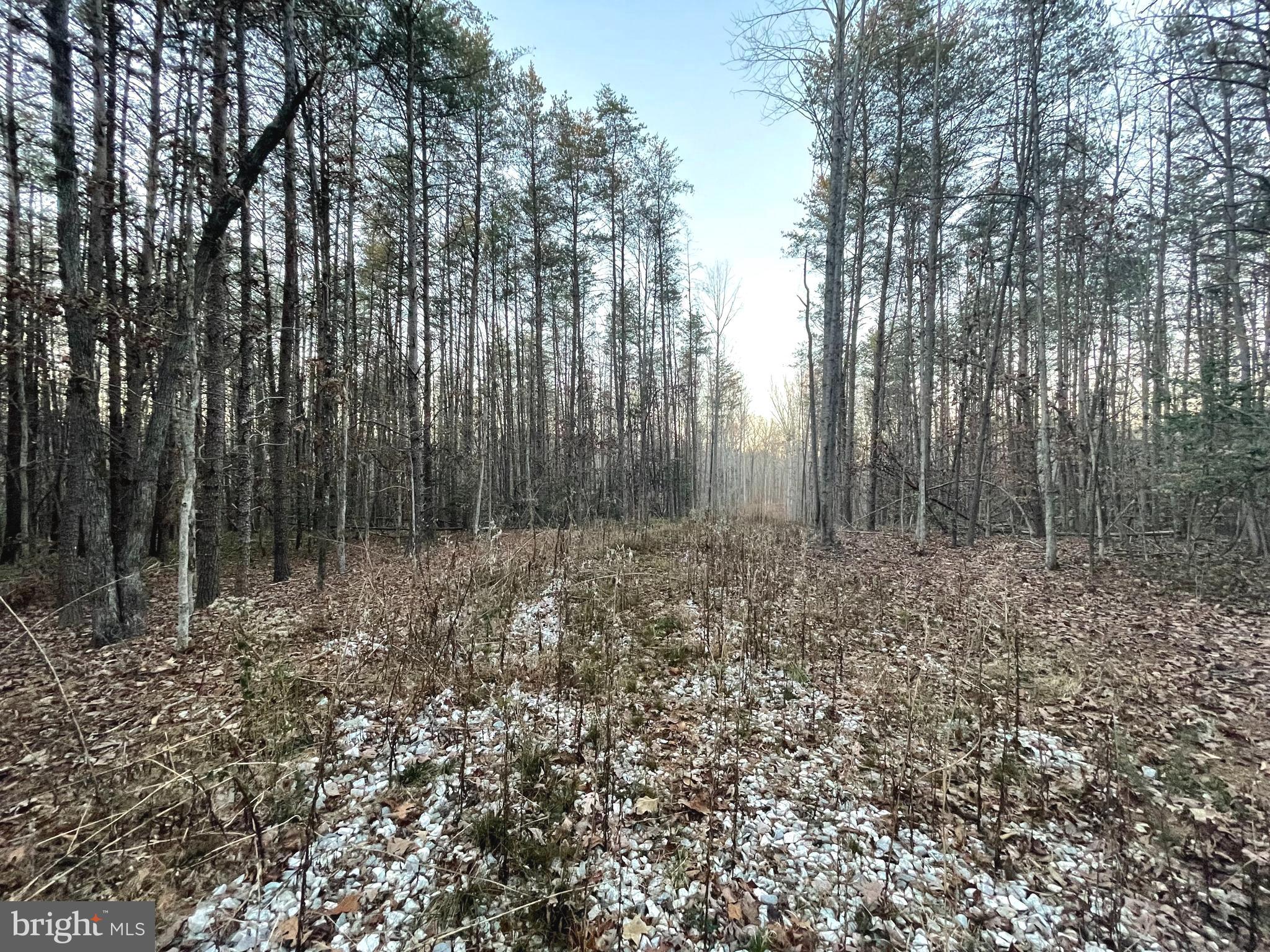 a view of small space with lots of trees