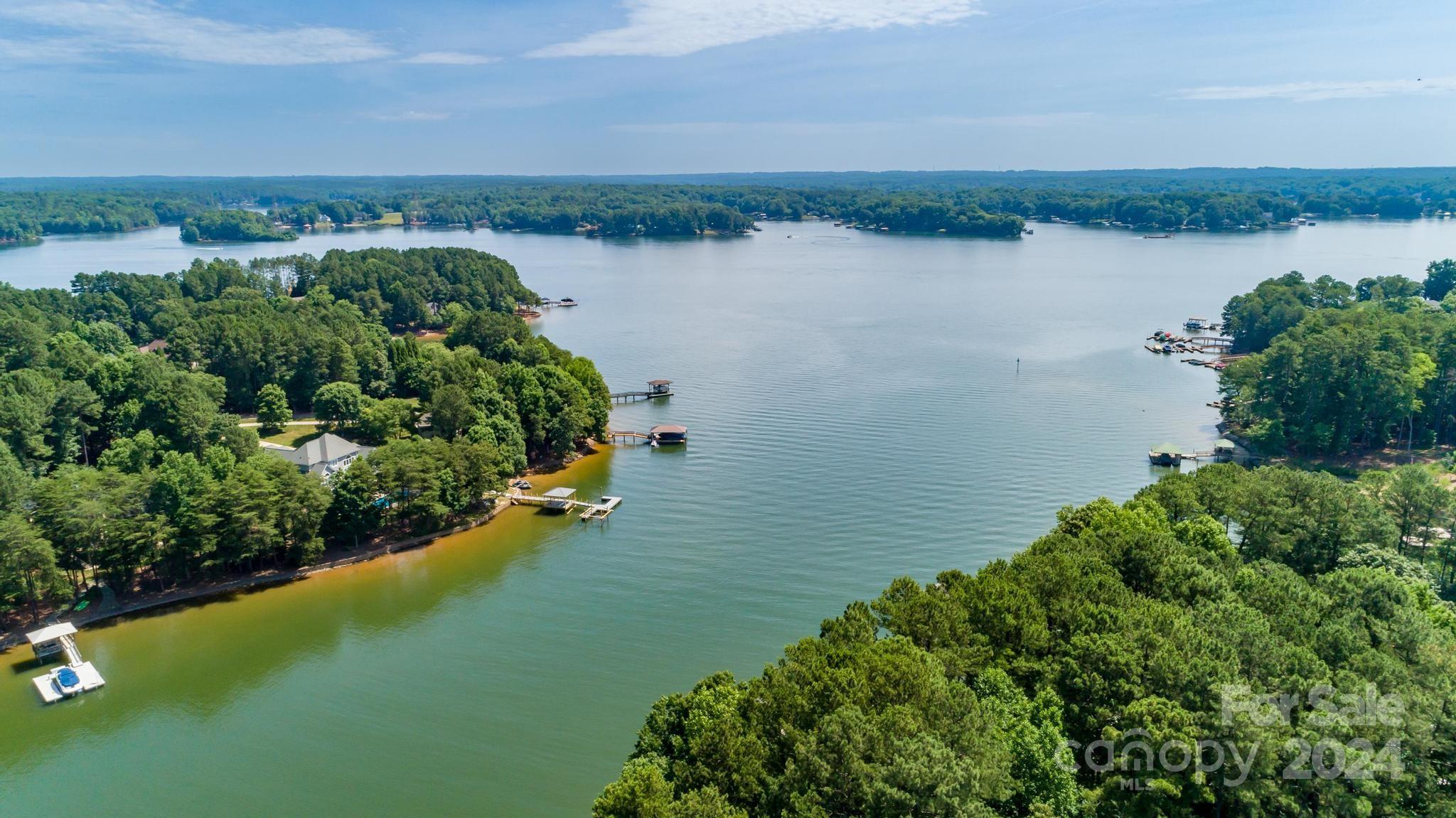 an aerial view of green landscape with trees houses and lake view