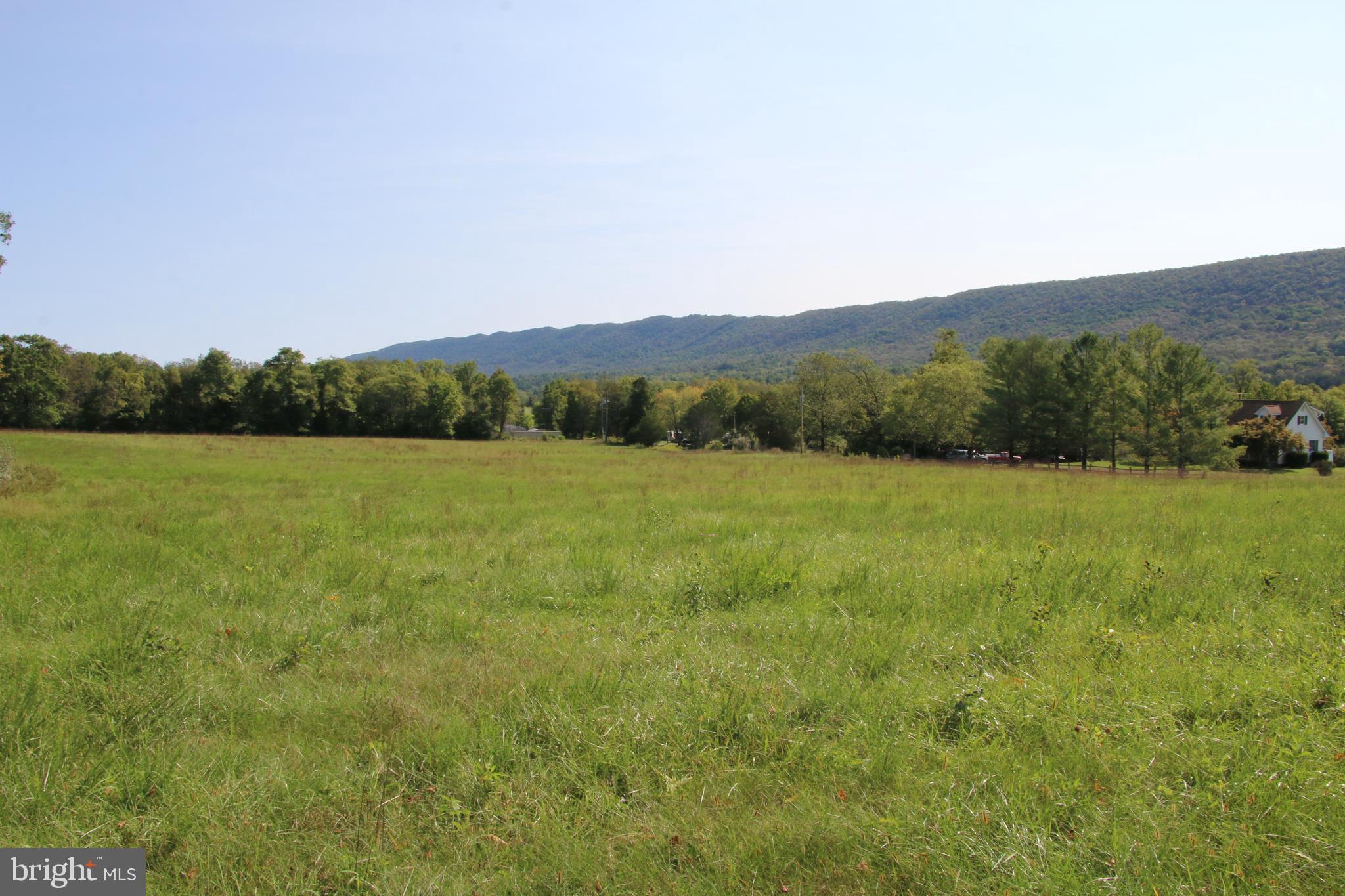 a view of a field with an ocean