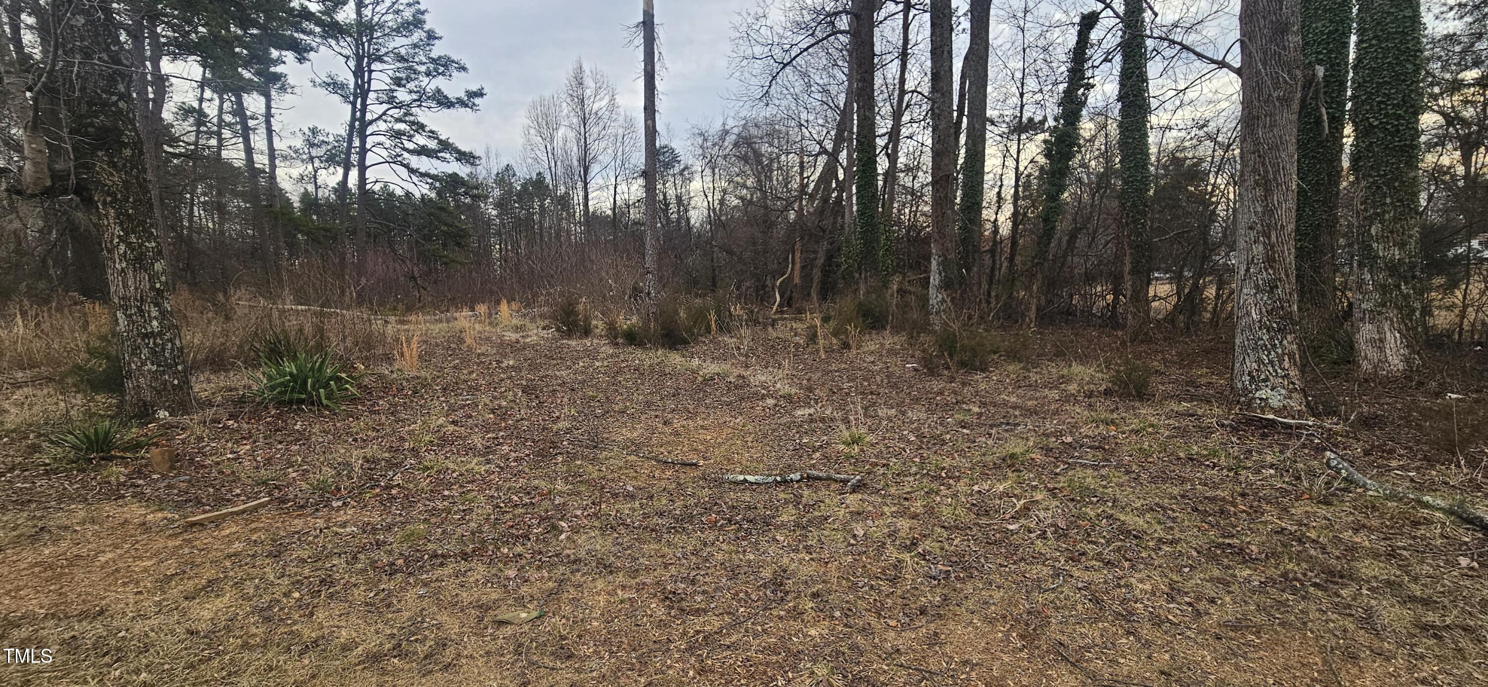 a view of outdoor space with lots of trees