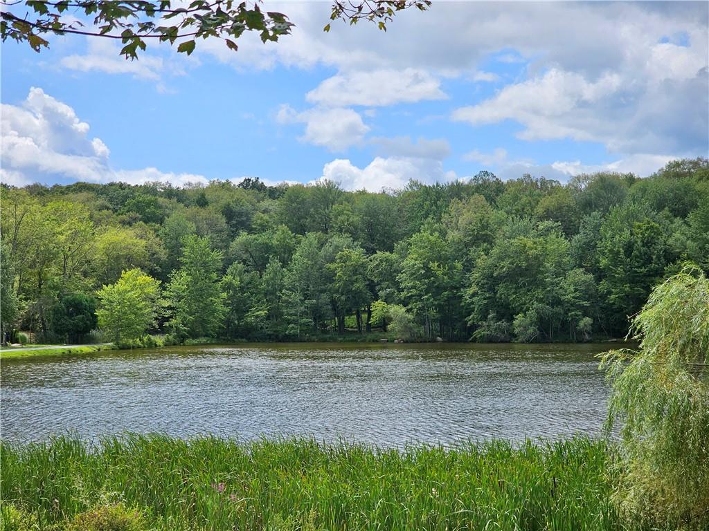 Water view