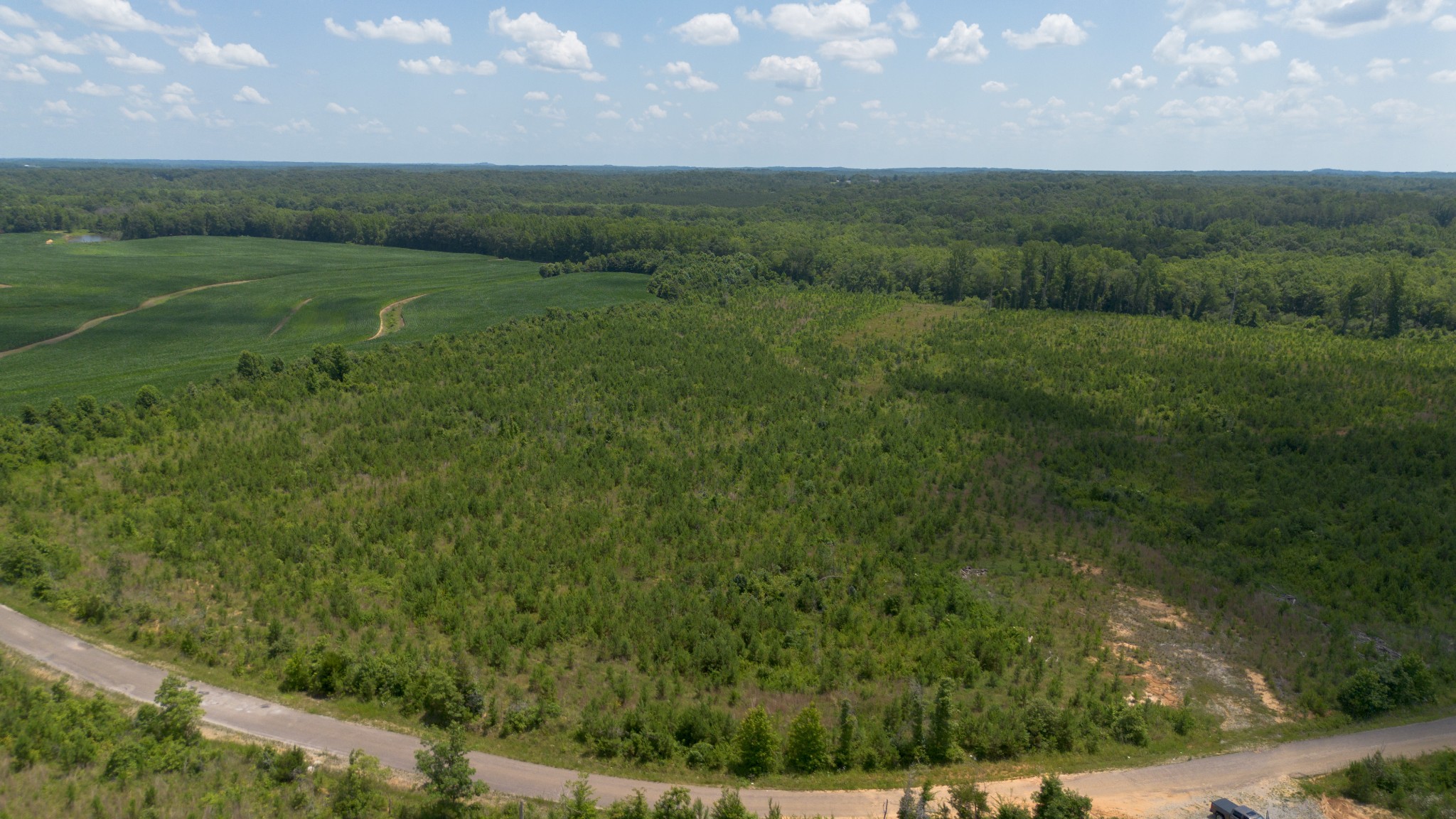 a view of a field of grass and trees