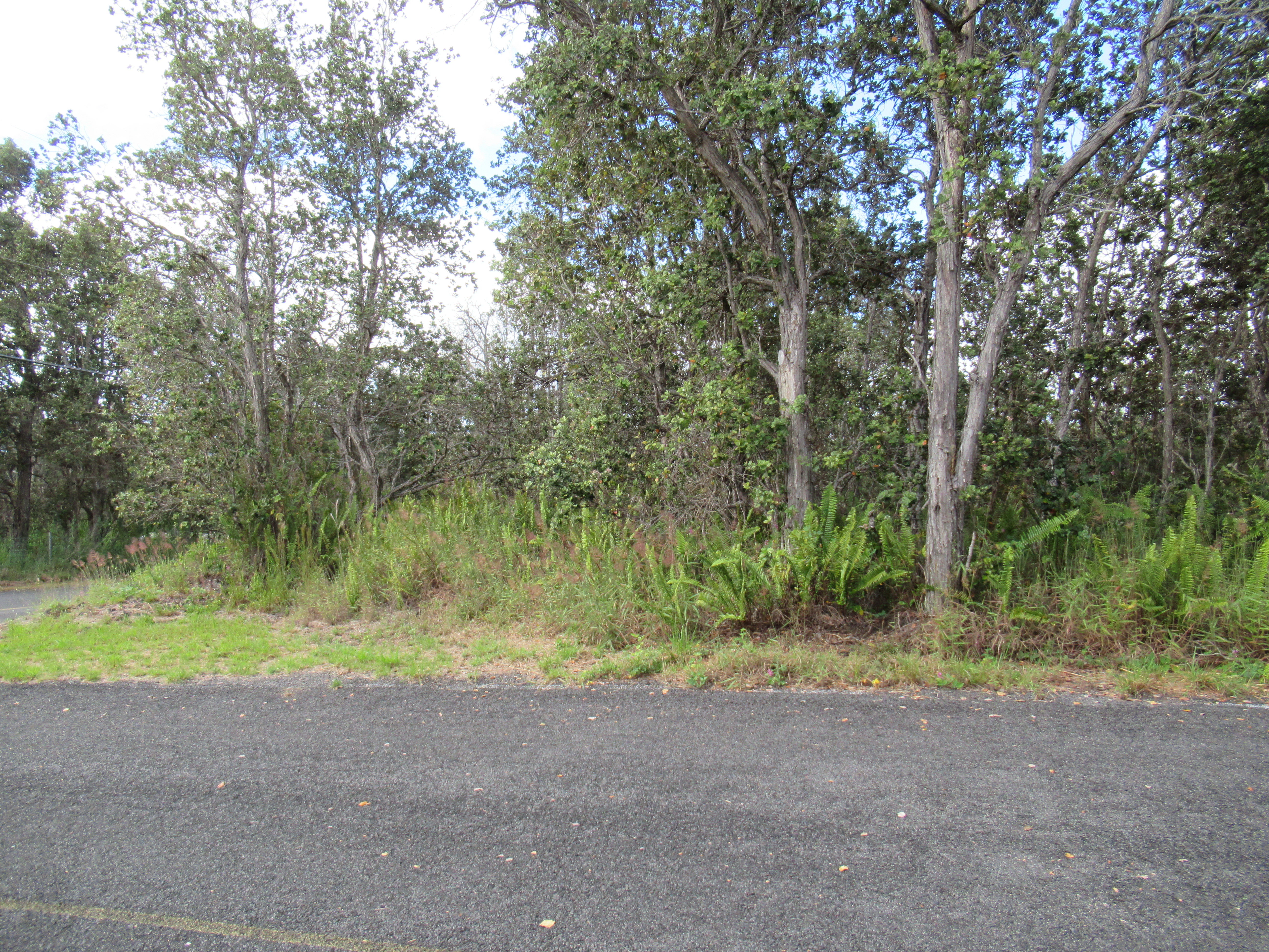 a view of outdoor space and yard