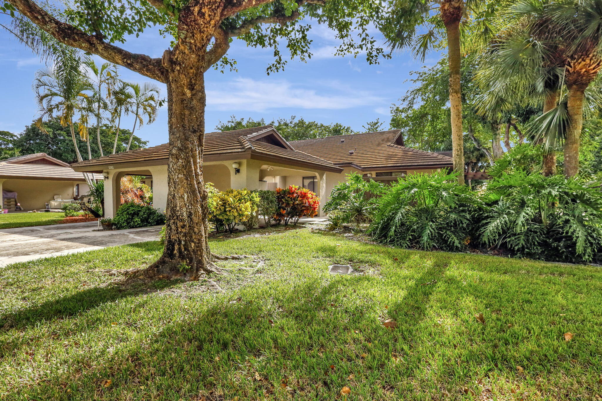 a view of a house with a tree in a yard