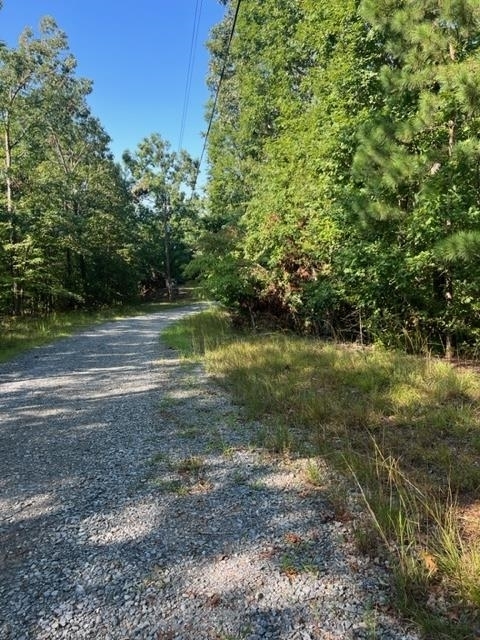 a view of a yard with a tree