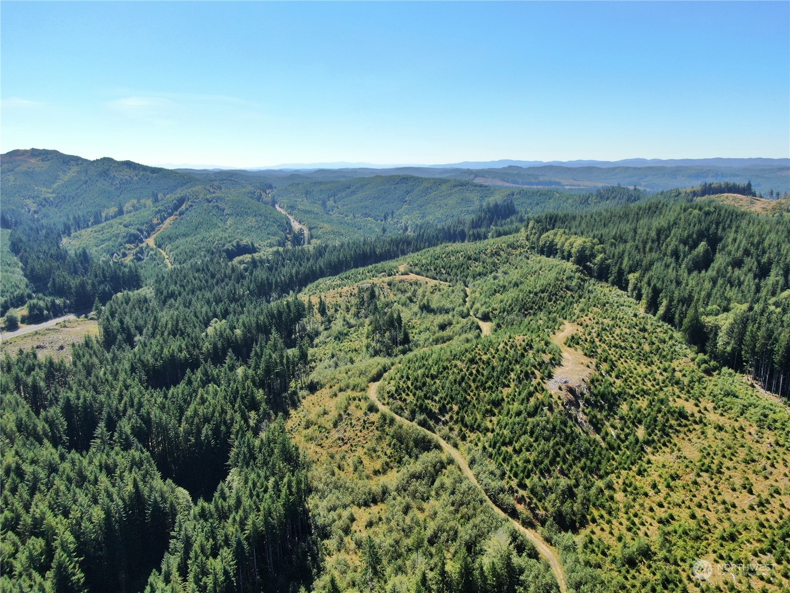 a view of a lush green forest with lush green forest