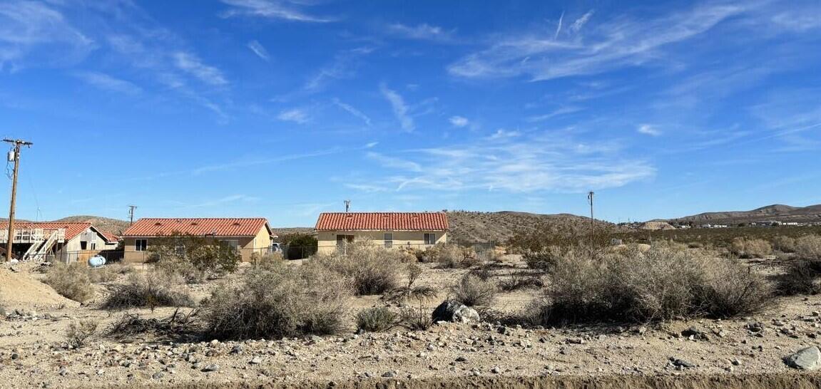 a view of a dry yard