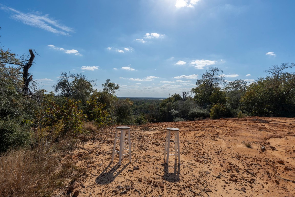 a view of a dry yard