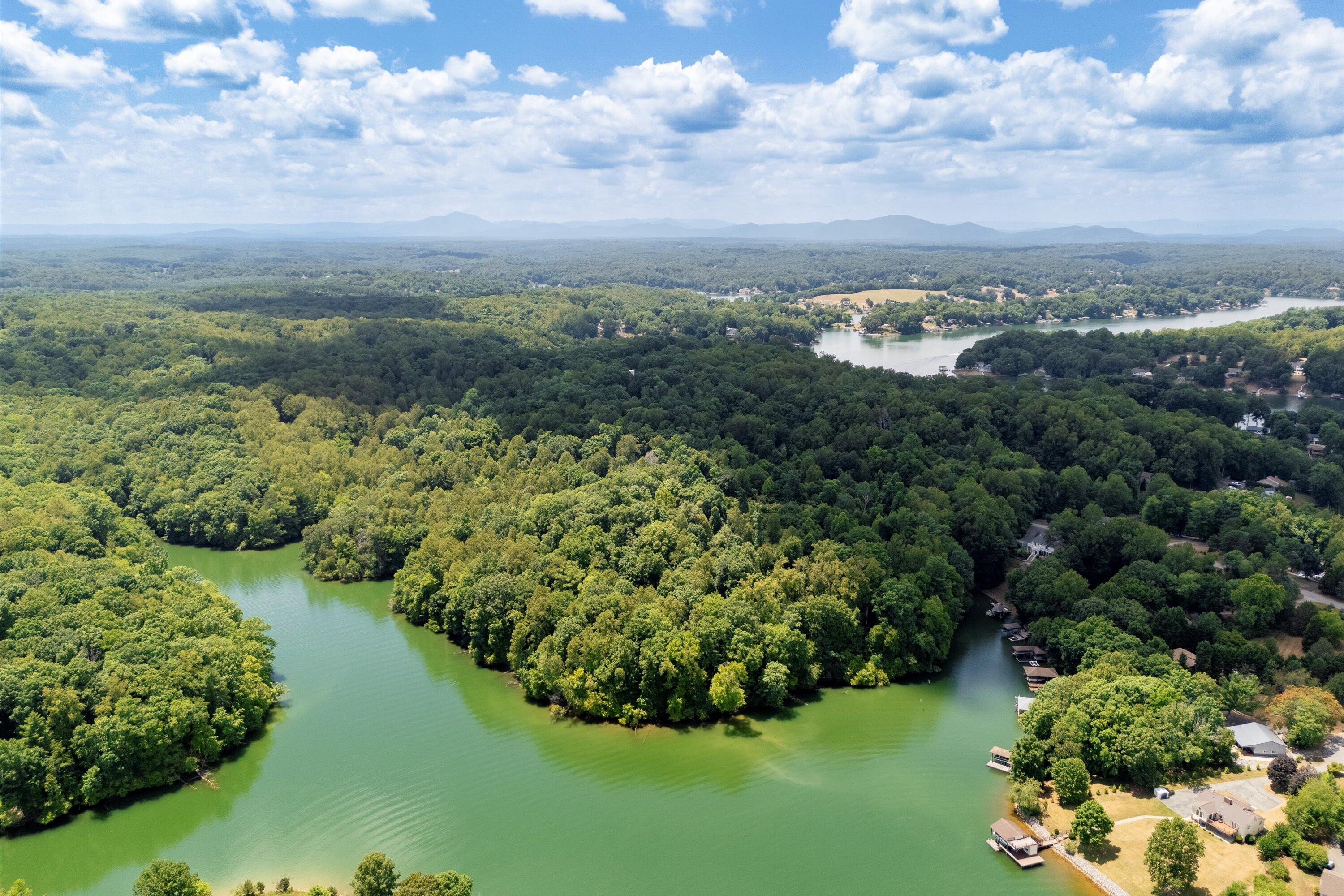 a view of a lake with a city