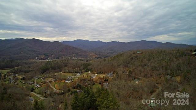 a view of a town with mountains in the background