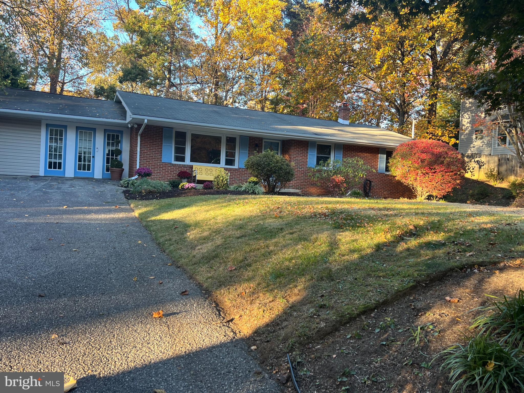 a view of a house with backyard and a tree