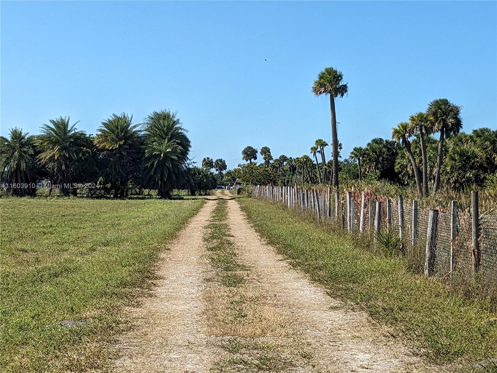 a view of a park with a park