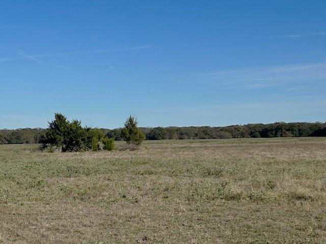 a view of a field with trees in the background