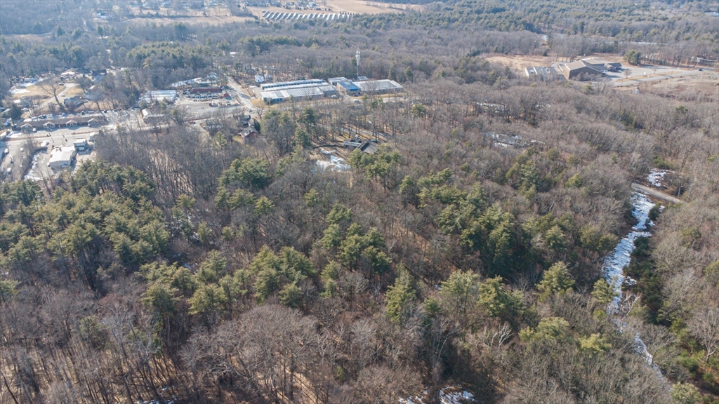 a view of a covered with lots of trees