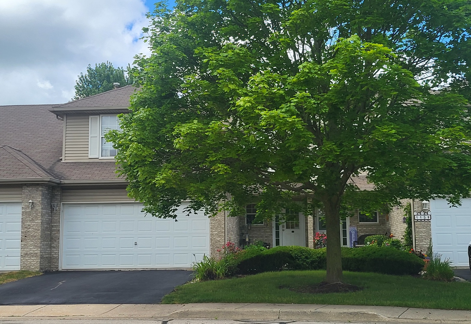 a front view of a house with a tree