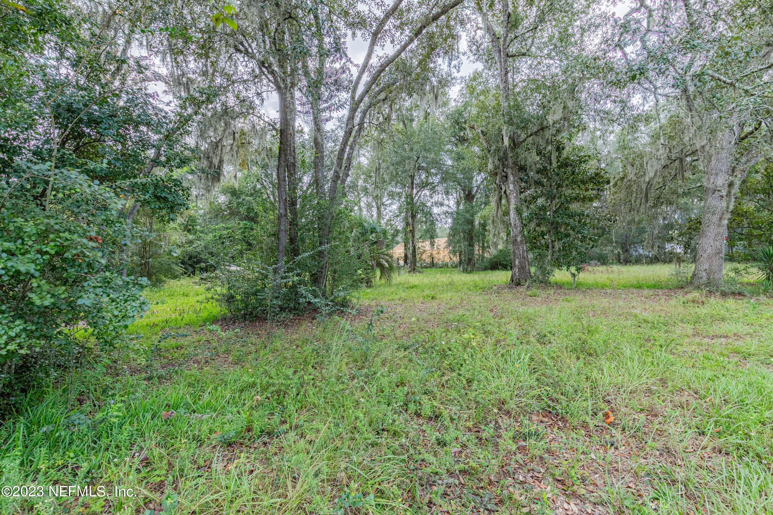 a view of outdoor space with trees all around