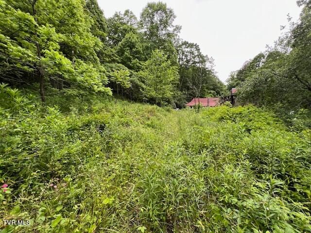 $349,000 | Tbd Robinson Hollow Lane