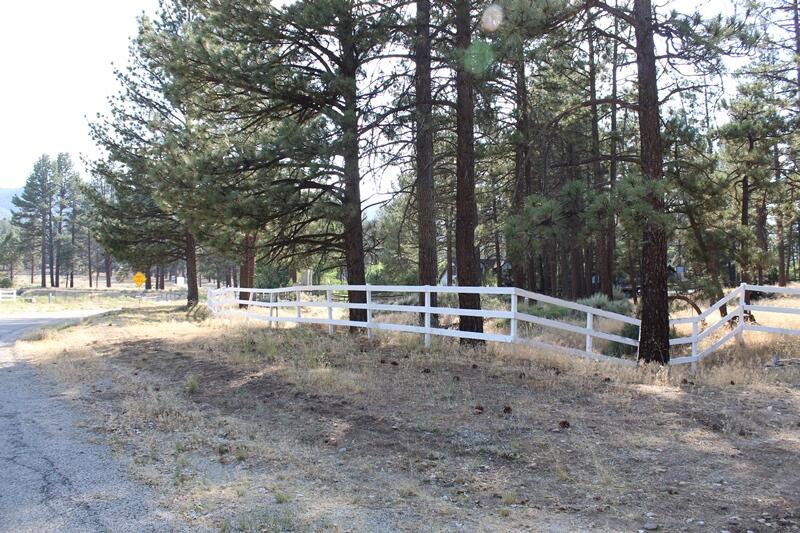 a view of outdoor space with trees