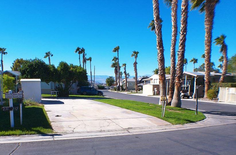 a view of a park with palm trees