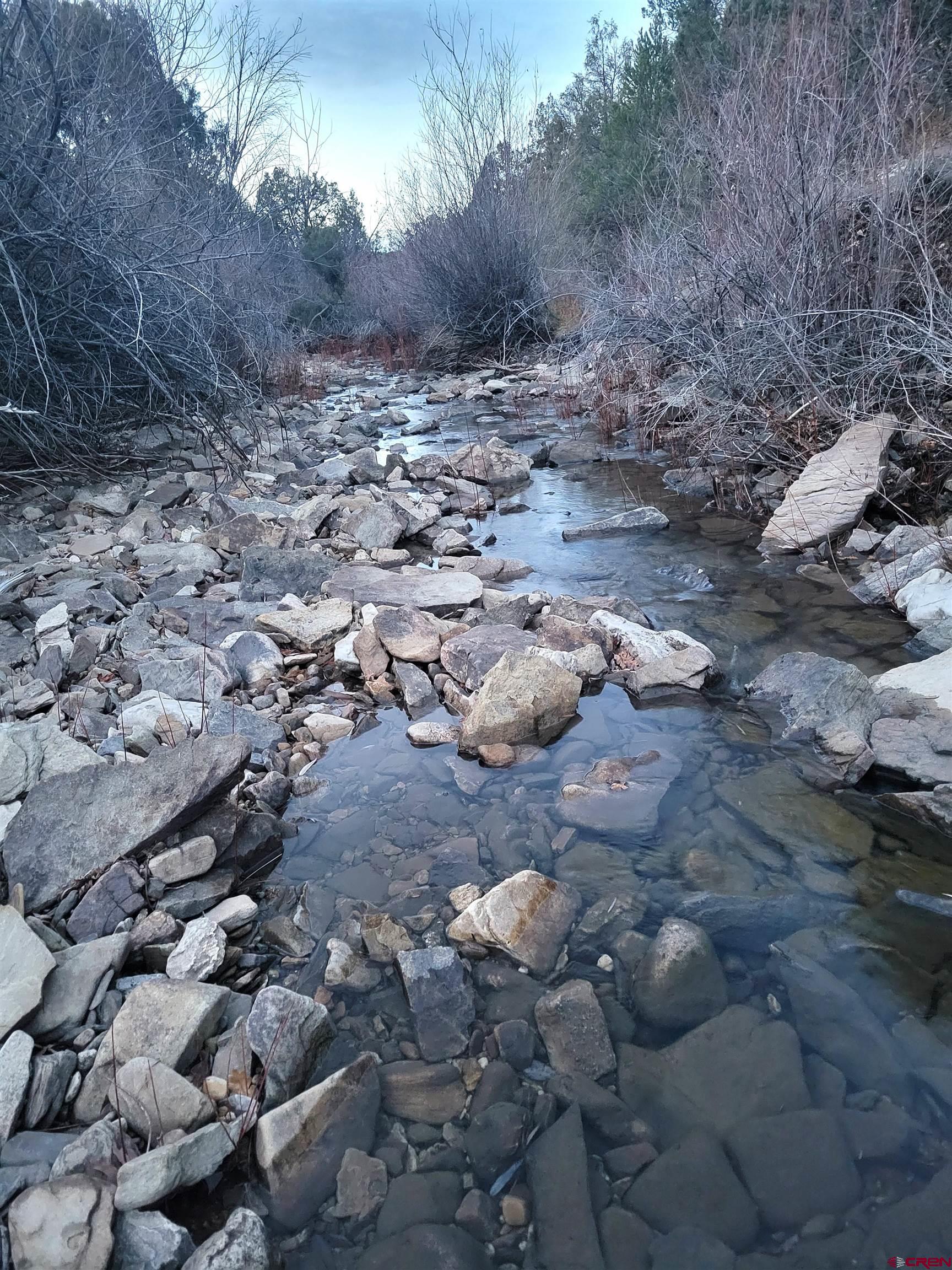 a view of a dry field