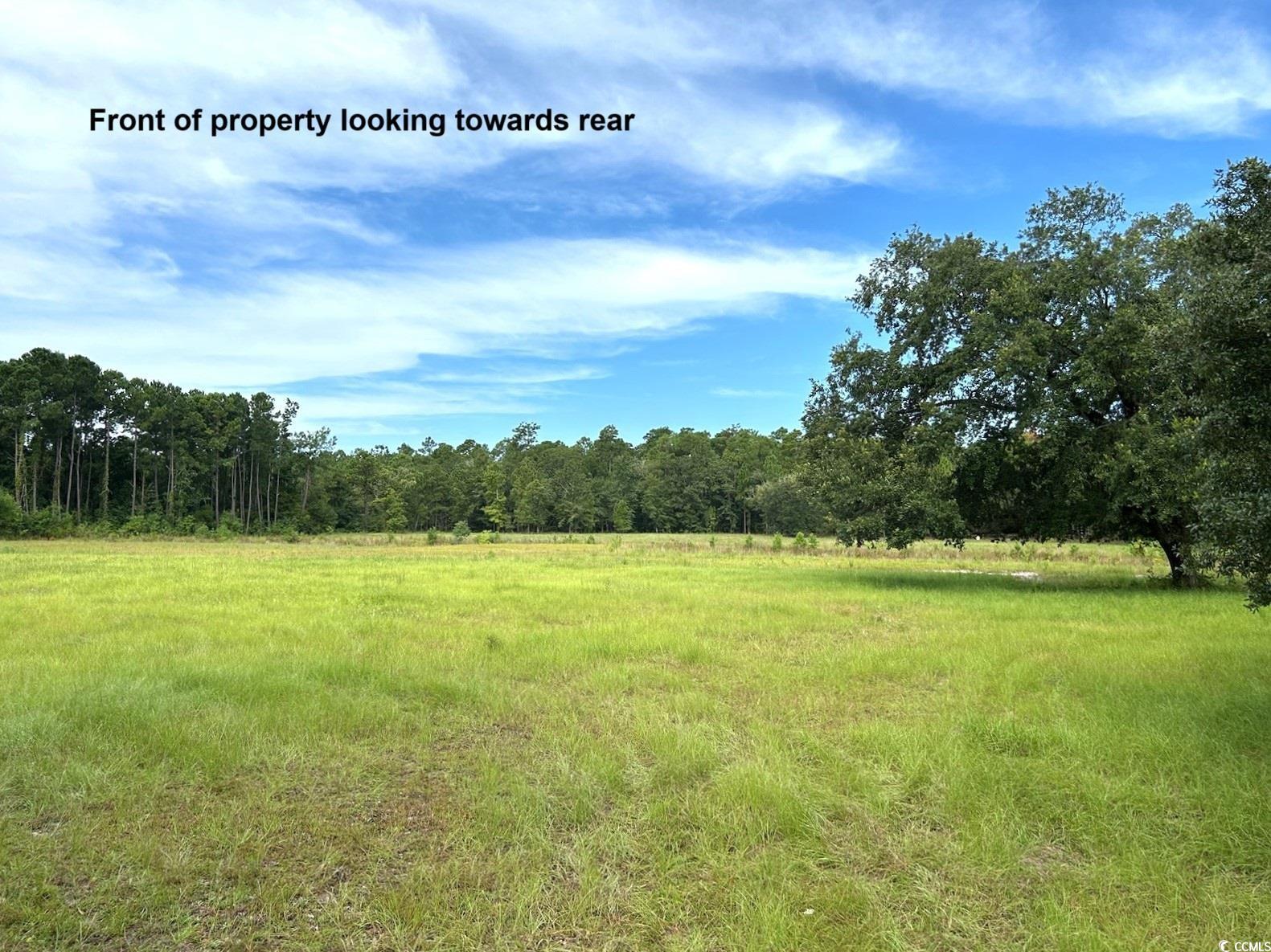 View of local wilderness with a rural view