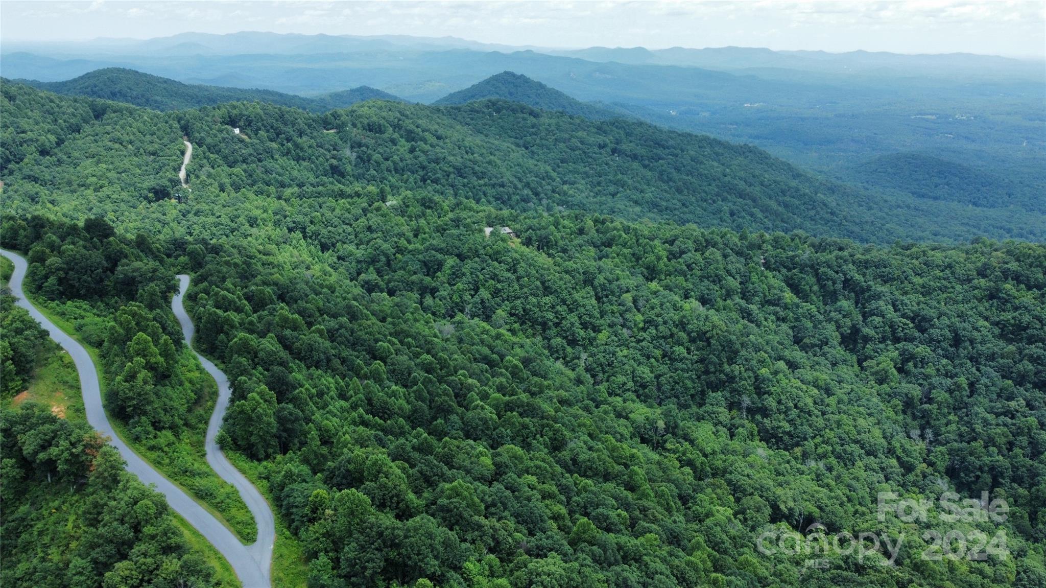 a view of a lush green forest with lush green forest