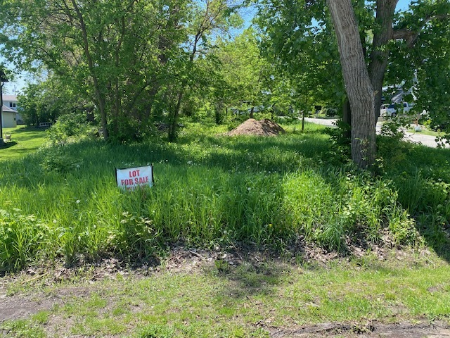 a green field with lots of bushes