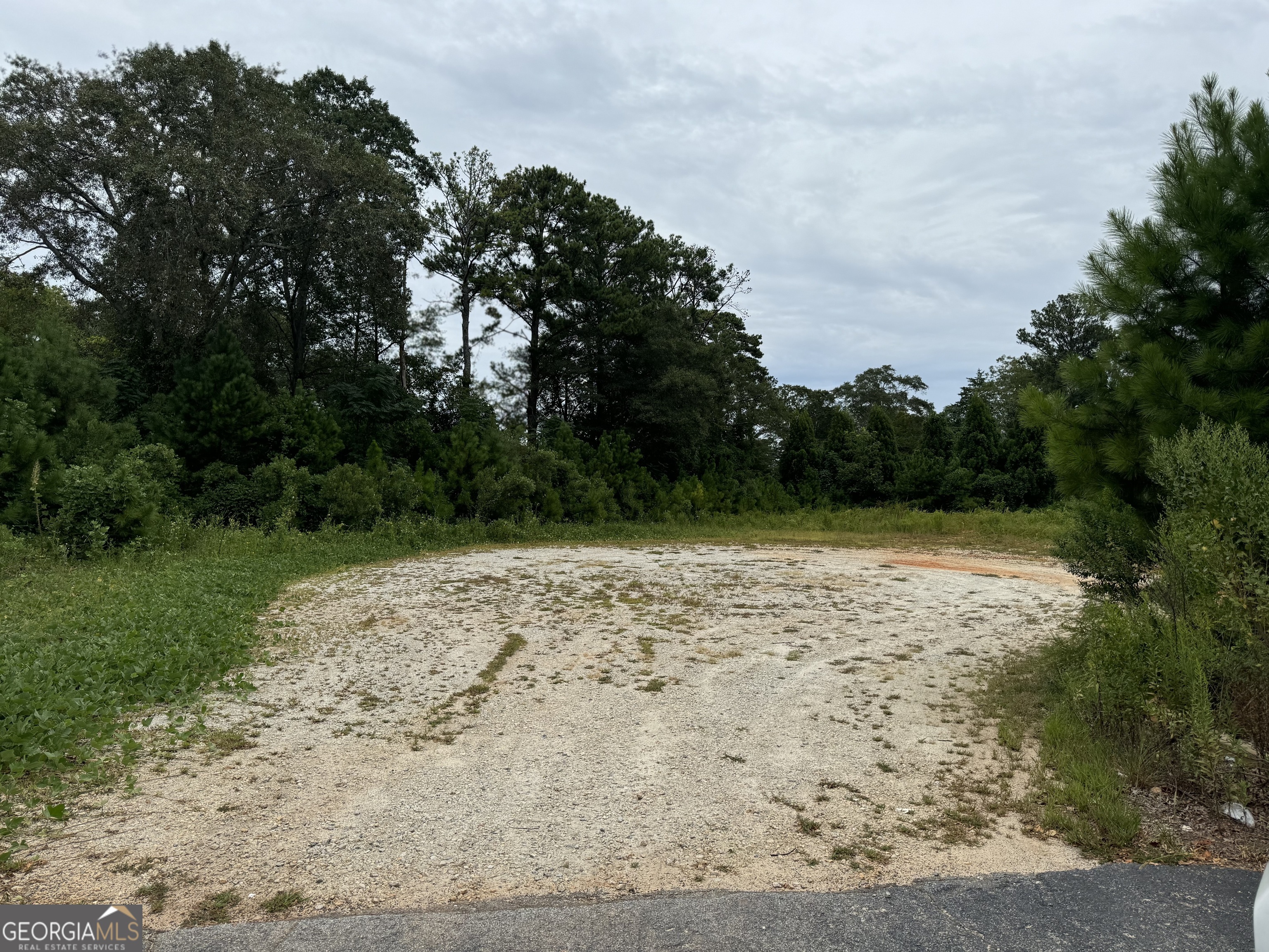 a view of dirt field with trees in the background