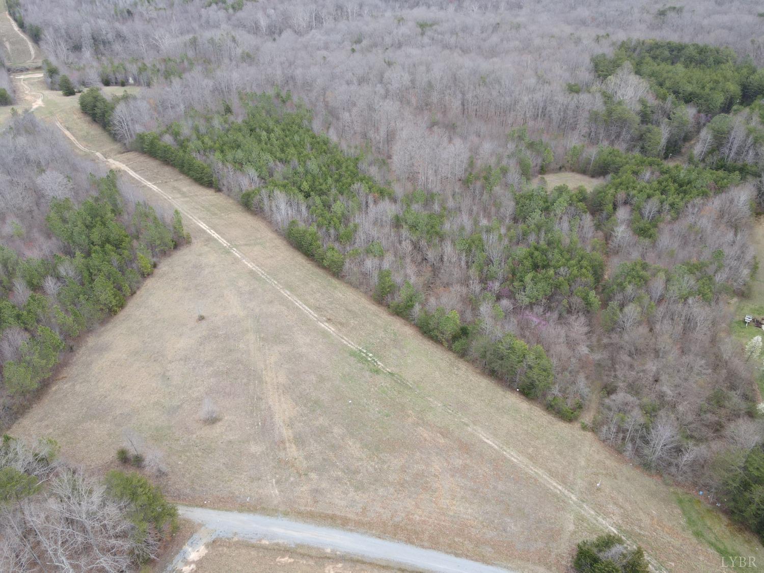 a view of a dry yard with trees