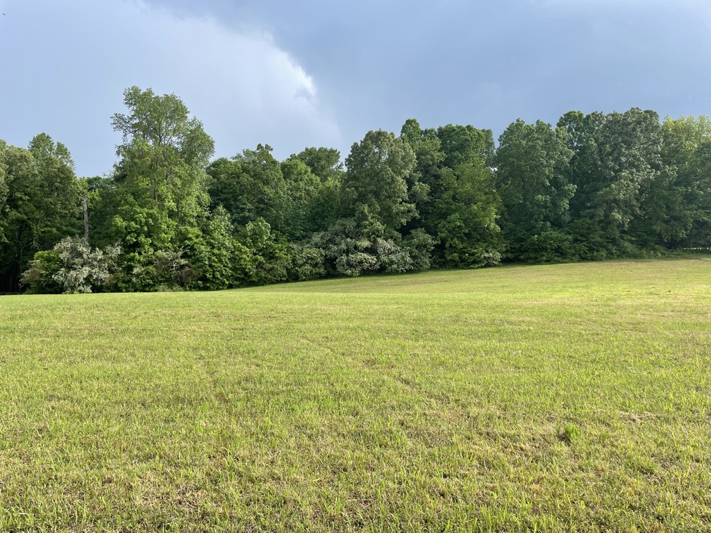 a view of a yard with an outdoor space