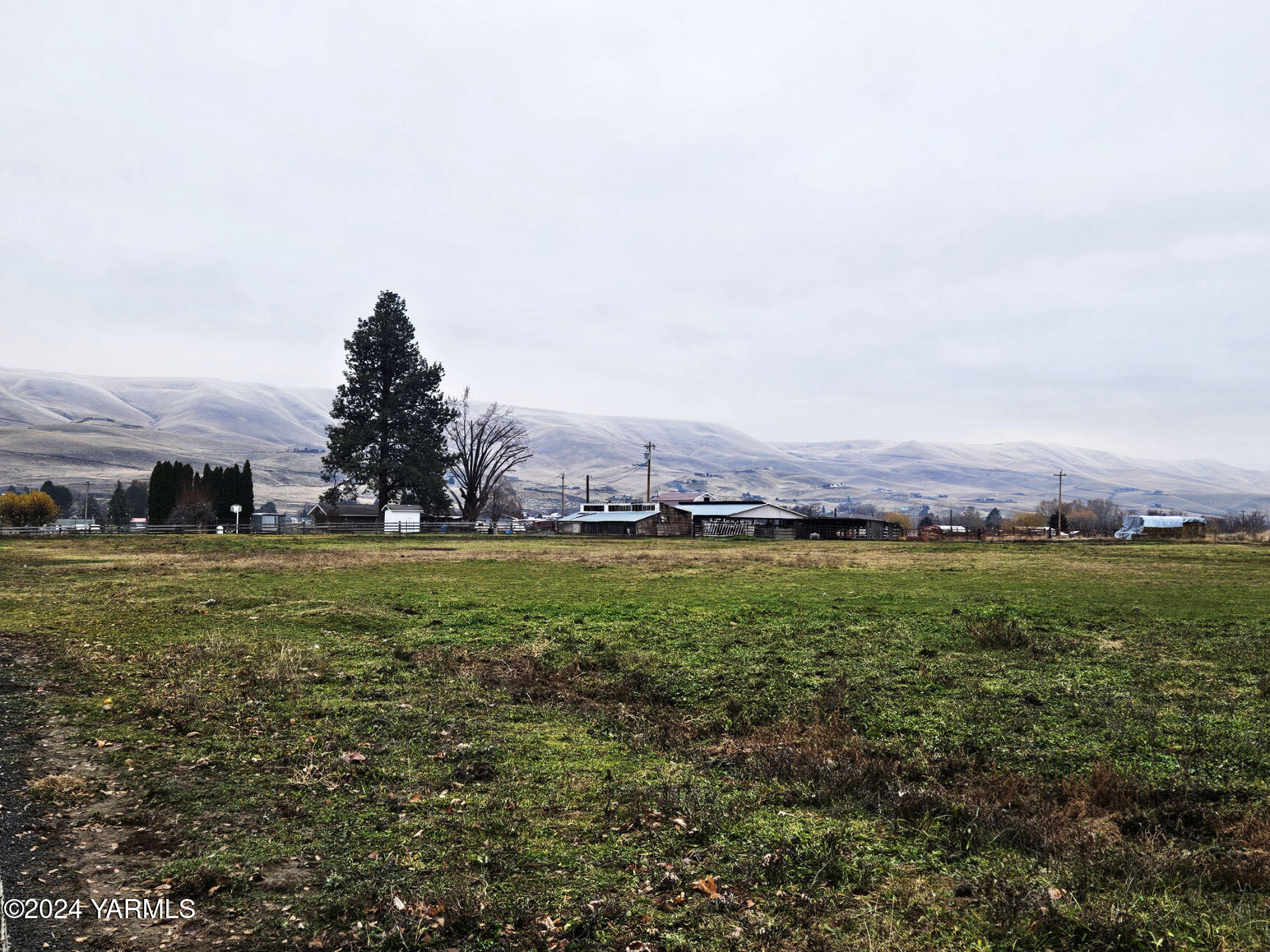 a view of a field with a tree in the background