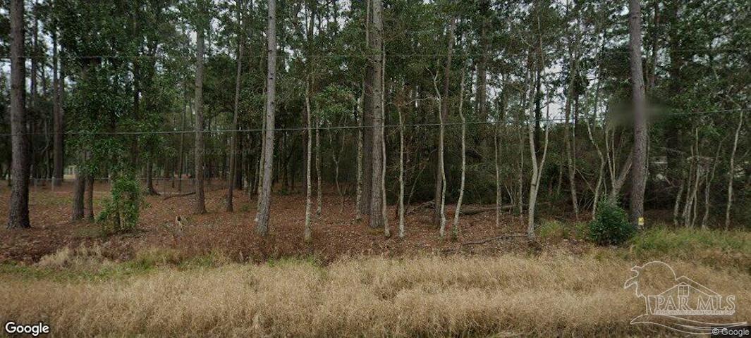 a view of a forest