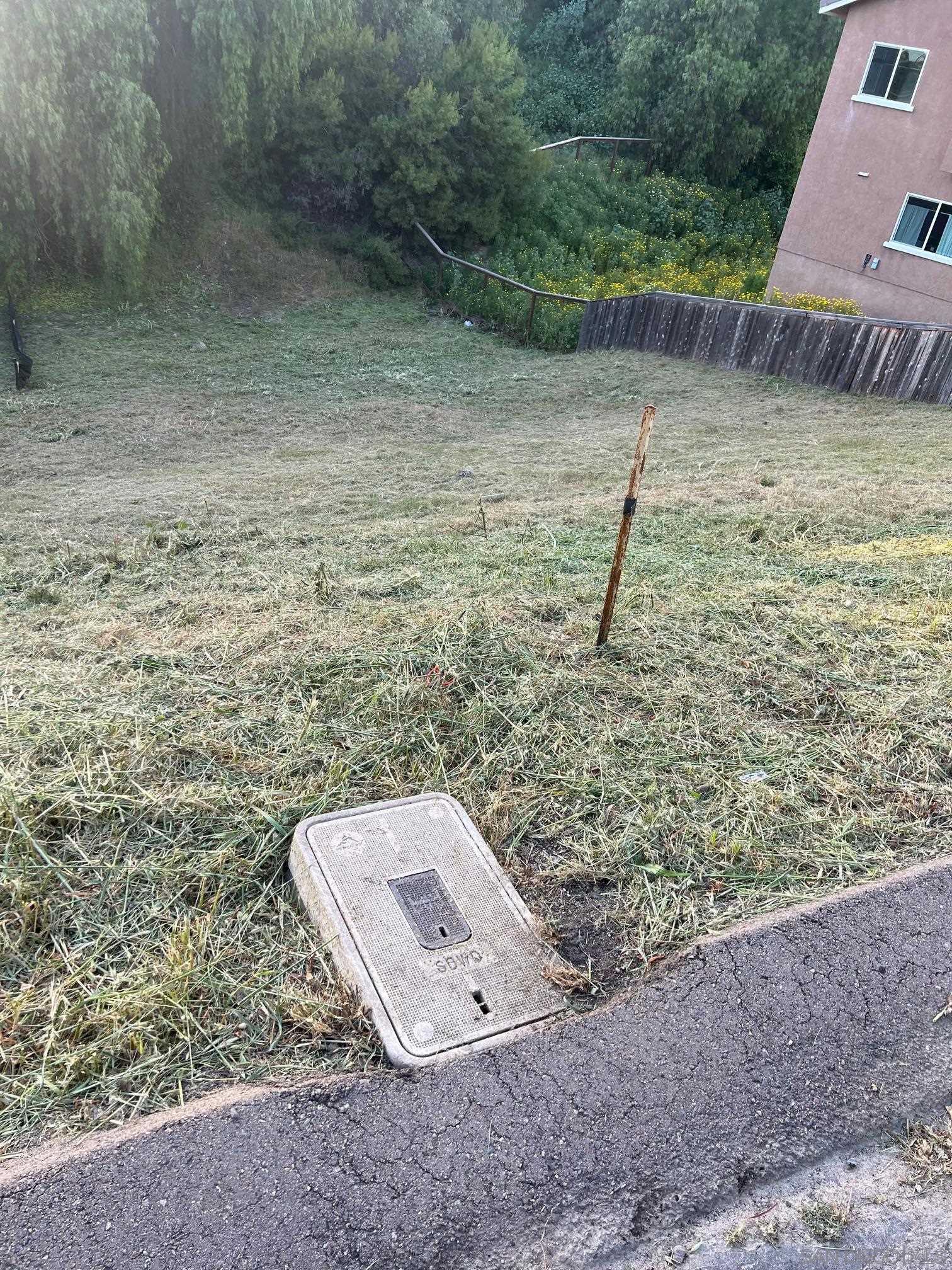 a view of a dry yard with trees