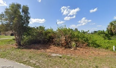 a view of a big yard with large trees