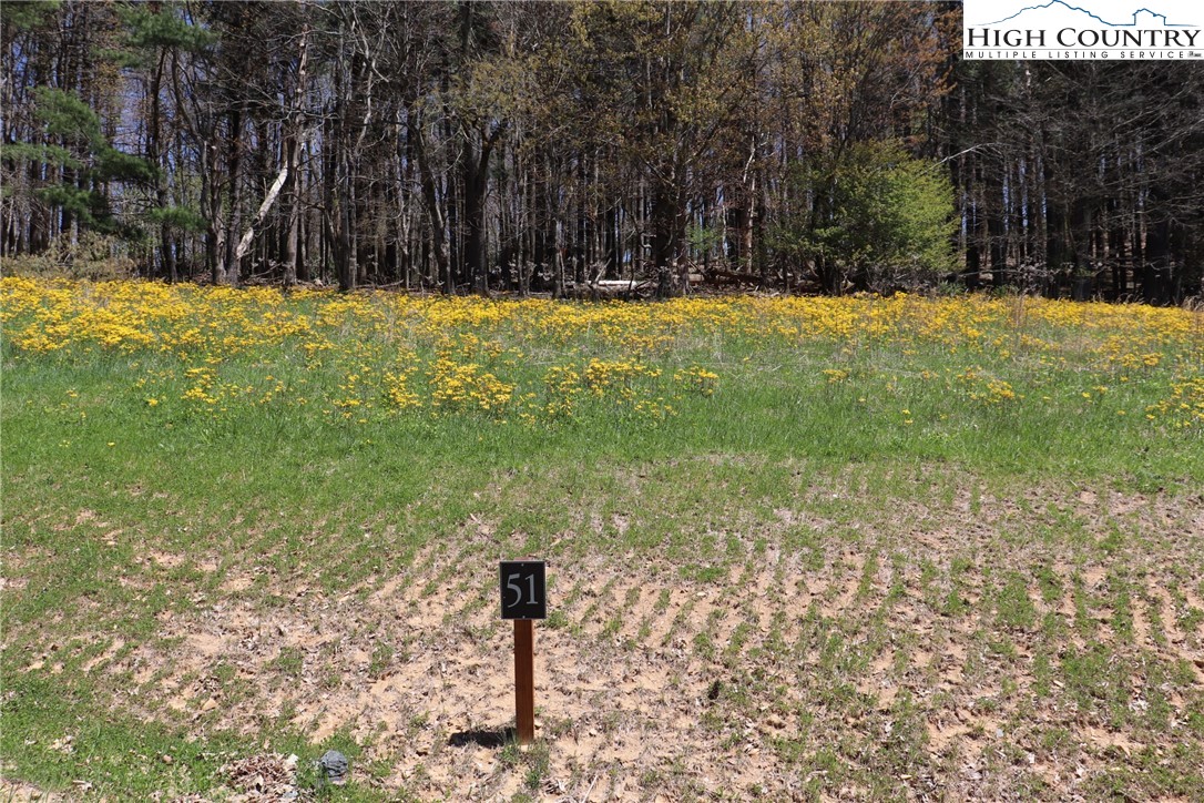 a fire hydrant in the middle of a field