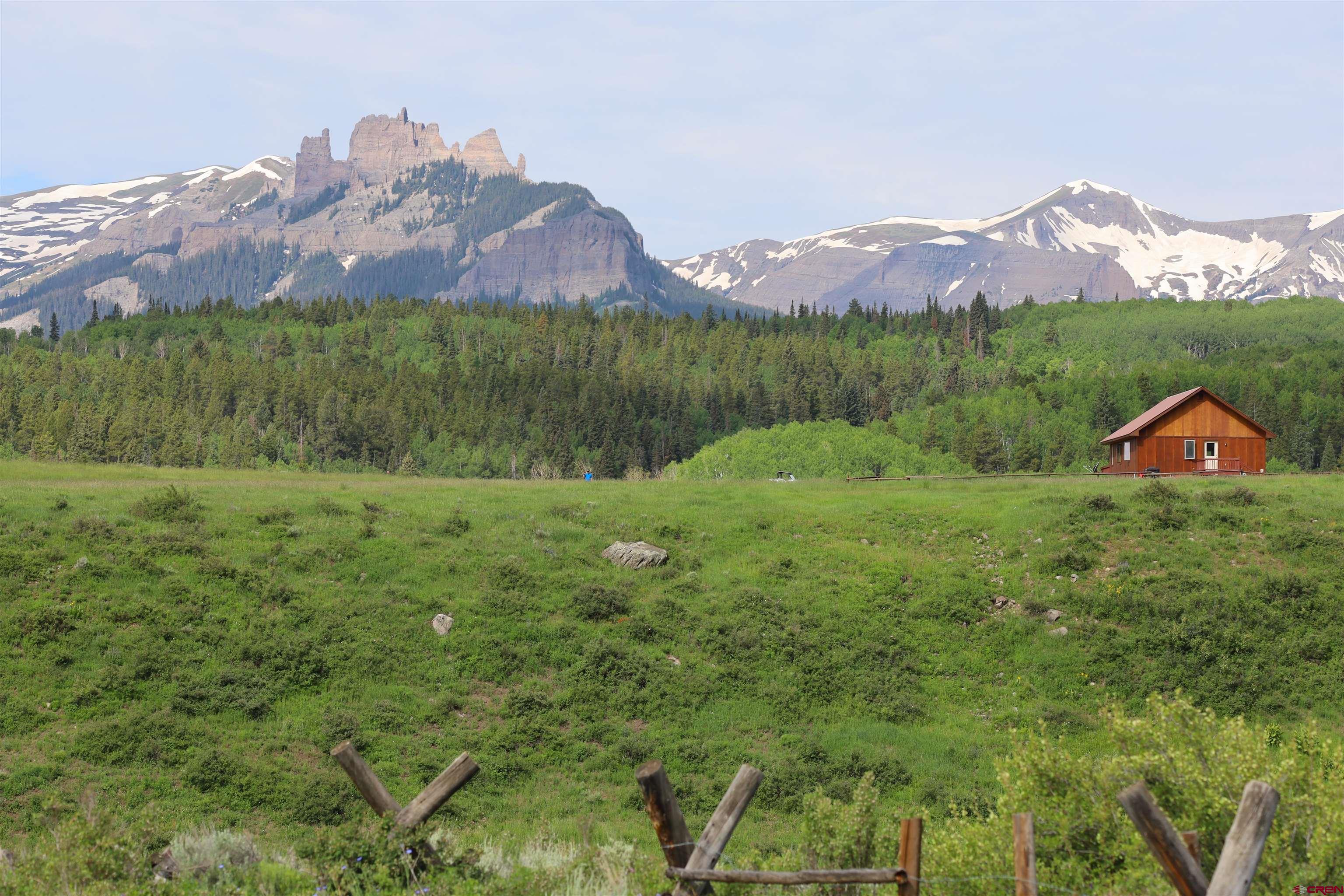 a view of a lush green hillside and houses